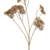 Achillea spray