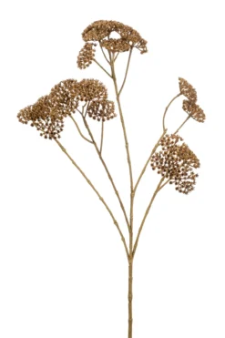 Achillea spray