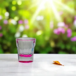 Acryl Shotglazen Party - set van 4