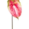 Anthurium spray