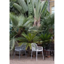 Armchair albert kuip garden white