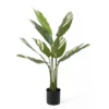 Artificial plant Calathea green w. white