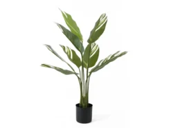 Artificial plant Calathea green w. white