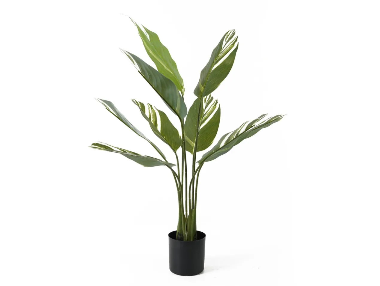 Artificial plant Calathea green w. white