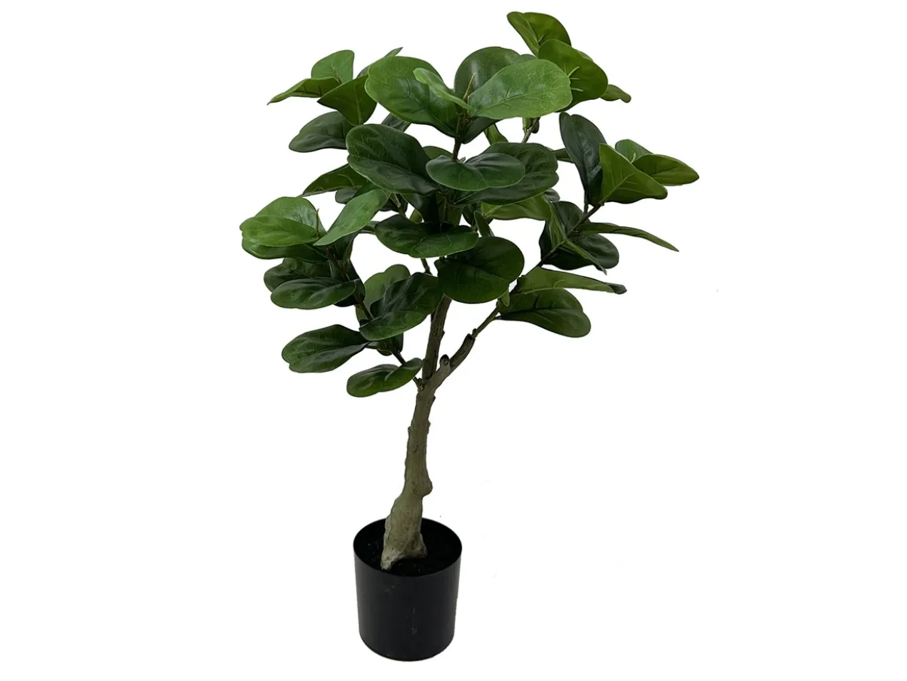 Artificial plant Ficus