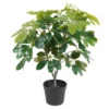 Artificial plant Shefflera green