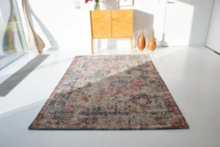 BAKTHIARY 108712 JANISERRY MULTI