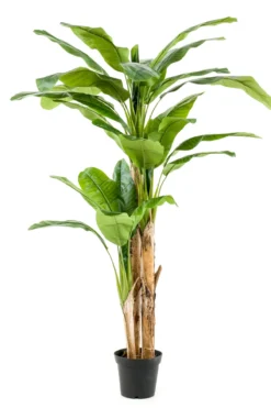 Bananen kunstplant 210 cm