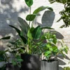 Bloempot rond keramiek hoog zwart - set van 3