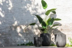 Bloempot rond keramiek hoog zwart - set van 3