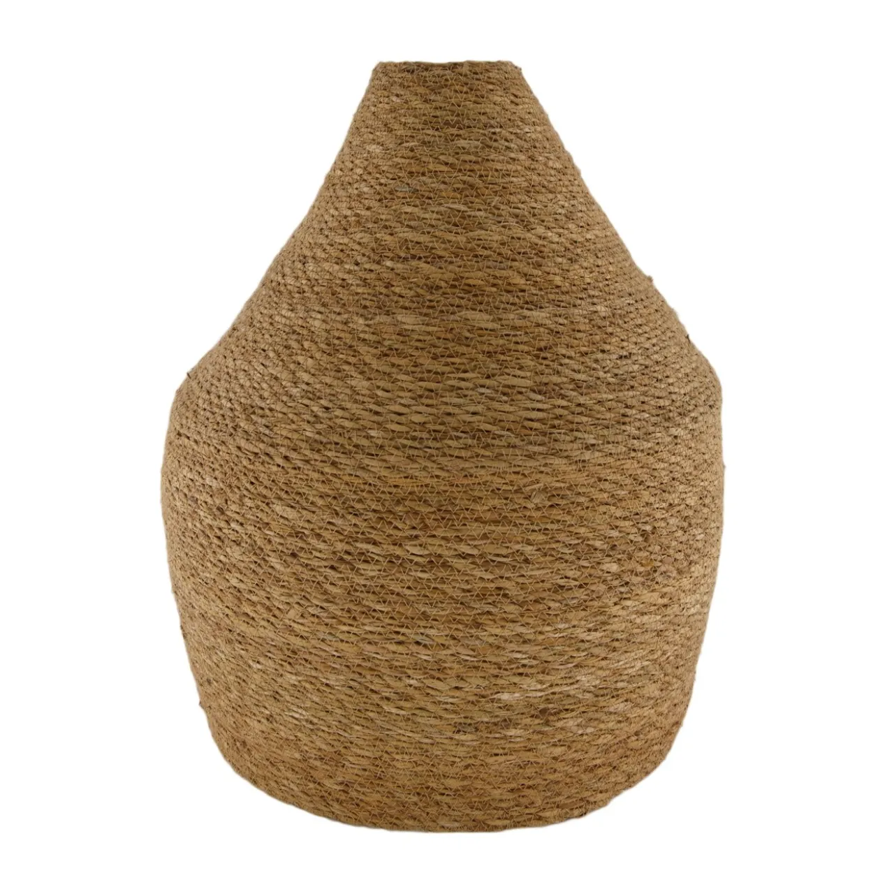 Bottle seagrass