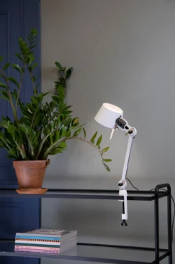 Bureaulamp Bolt met klem small 1 arm klein daybreak rose
