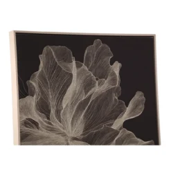 Canvas Flora 73x103 cm donkerbruin