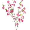 Cherry blossom