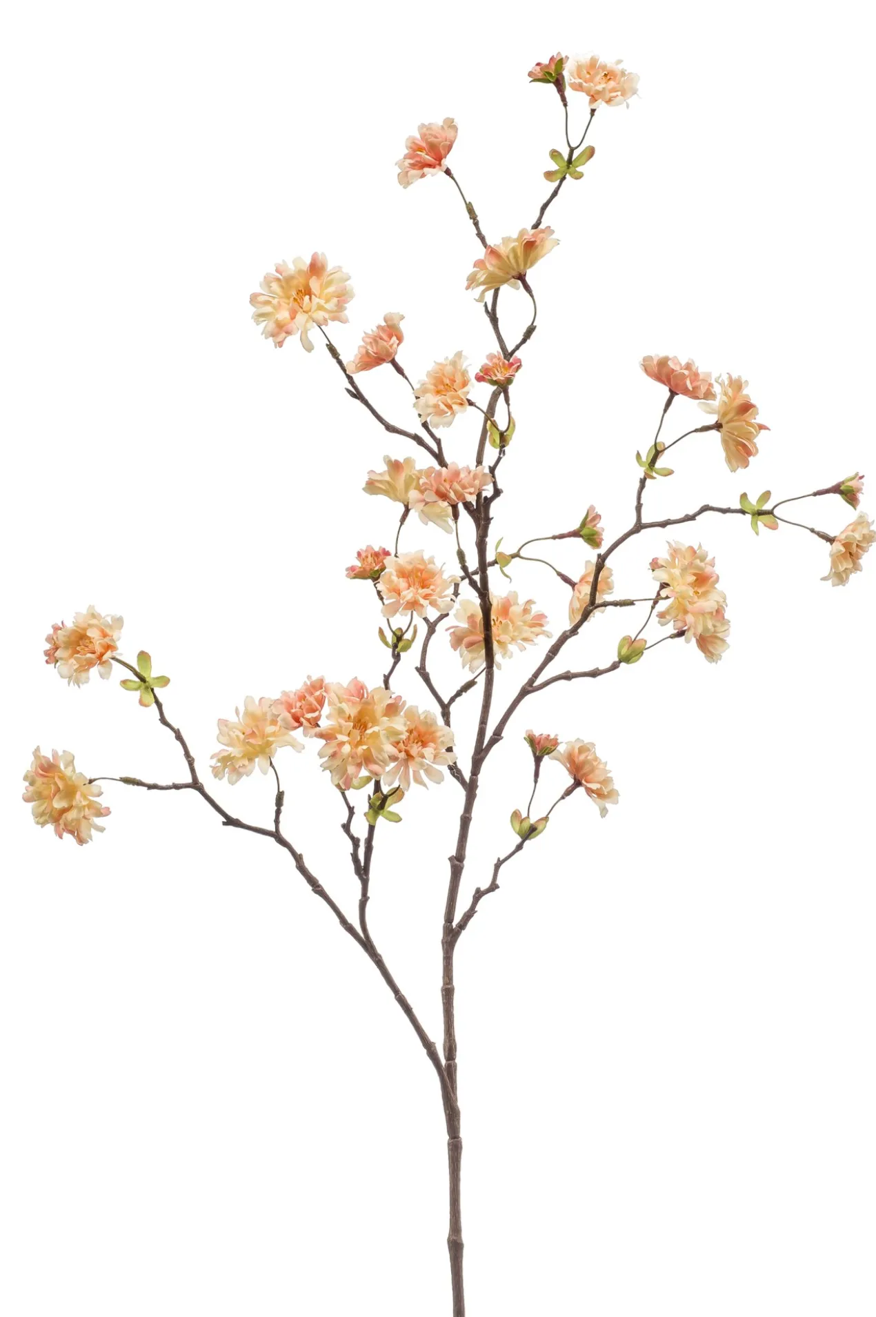 Cherry blossom spray peach