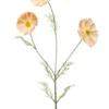Cosmos spray
