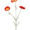 Cosmos spray