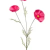 Cosmos spray