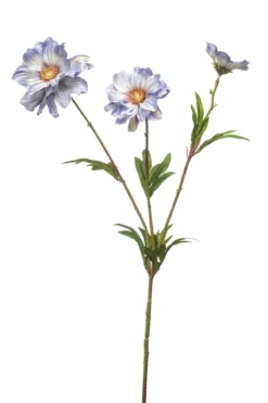 Cosmos spray blue