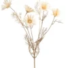 Daisy spray cream