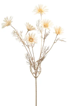 Daisy spray cream