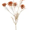 Daisy spray orange