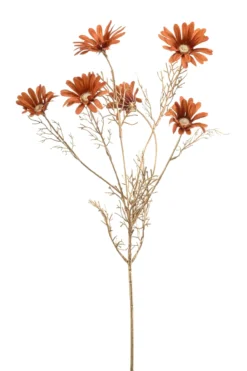 Daisy spray orange