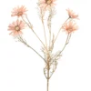 Daisy spray peach