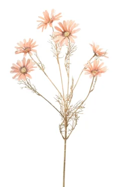 Daisy spray peach
