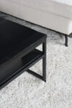 Delhi salon zwart 91x61x42cm