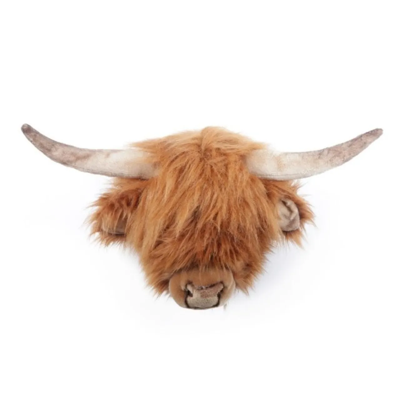 Dierenkop schotse hooglander