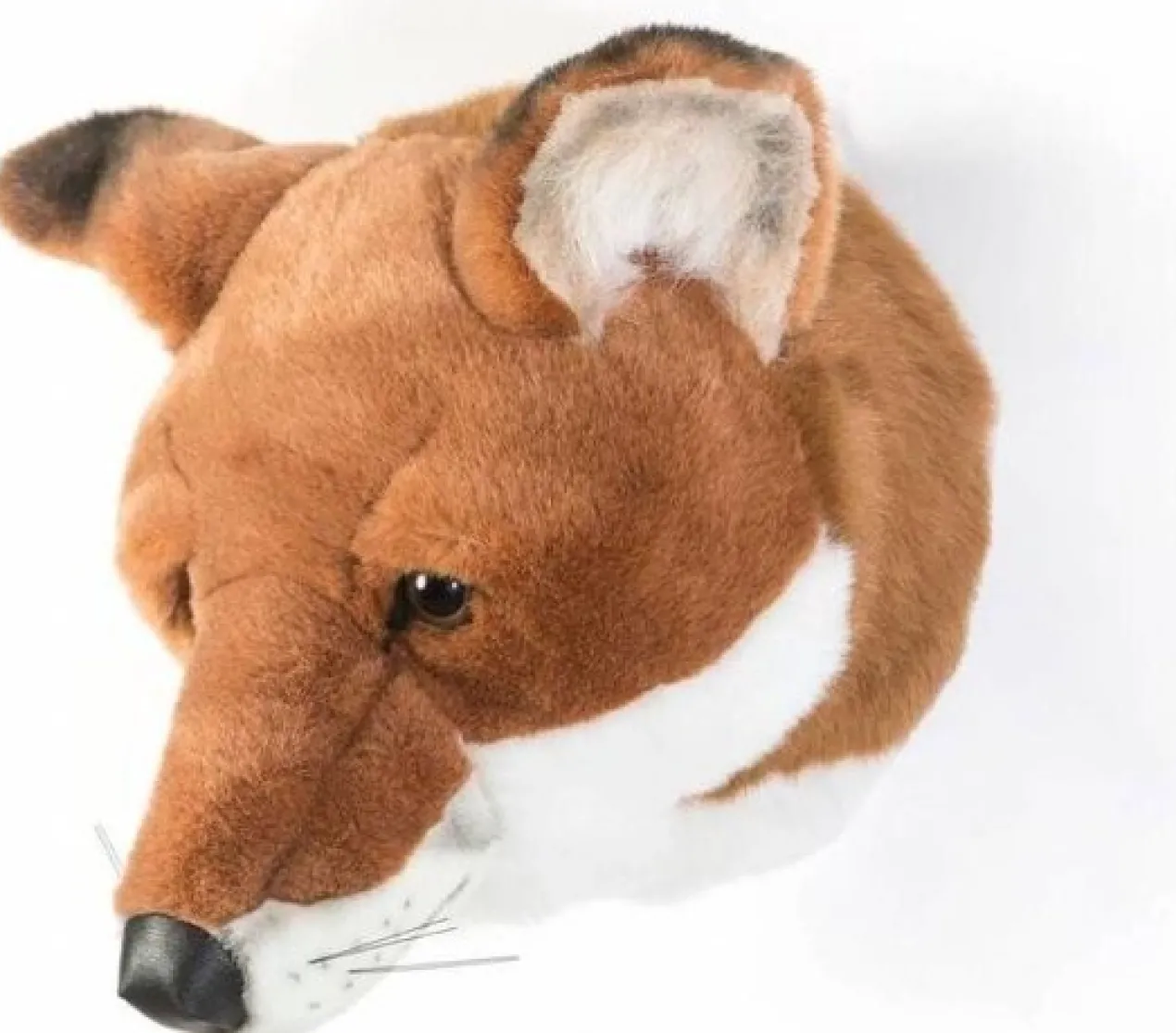 Dierenkop vos