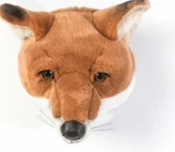 Dierenkop vos