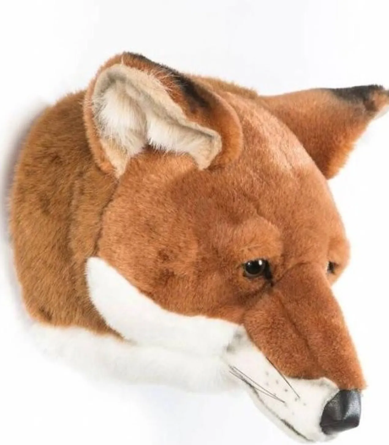 Dierenkop vos