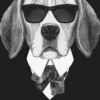 Dog with sunglasses- 3 – Canvas schilderij 60 x 80 cm