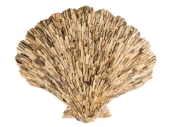 Driftwood wanddecoratie / wandpaneel Schelp