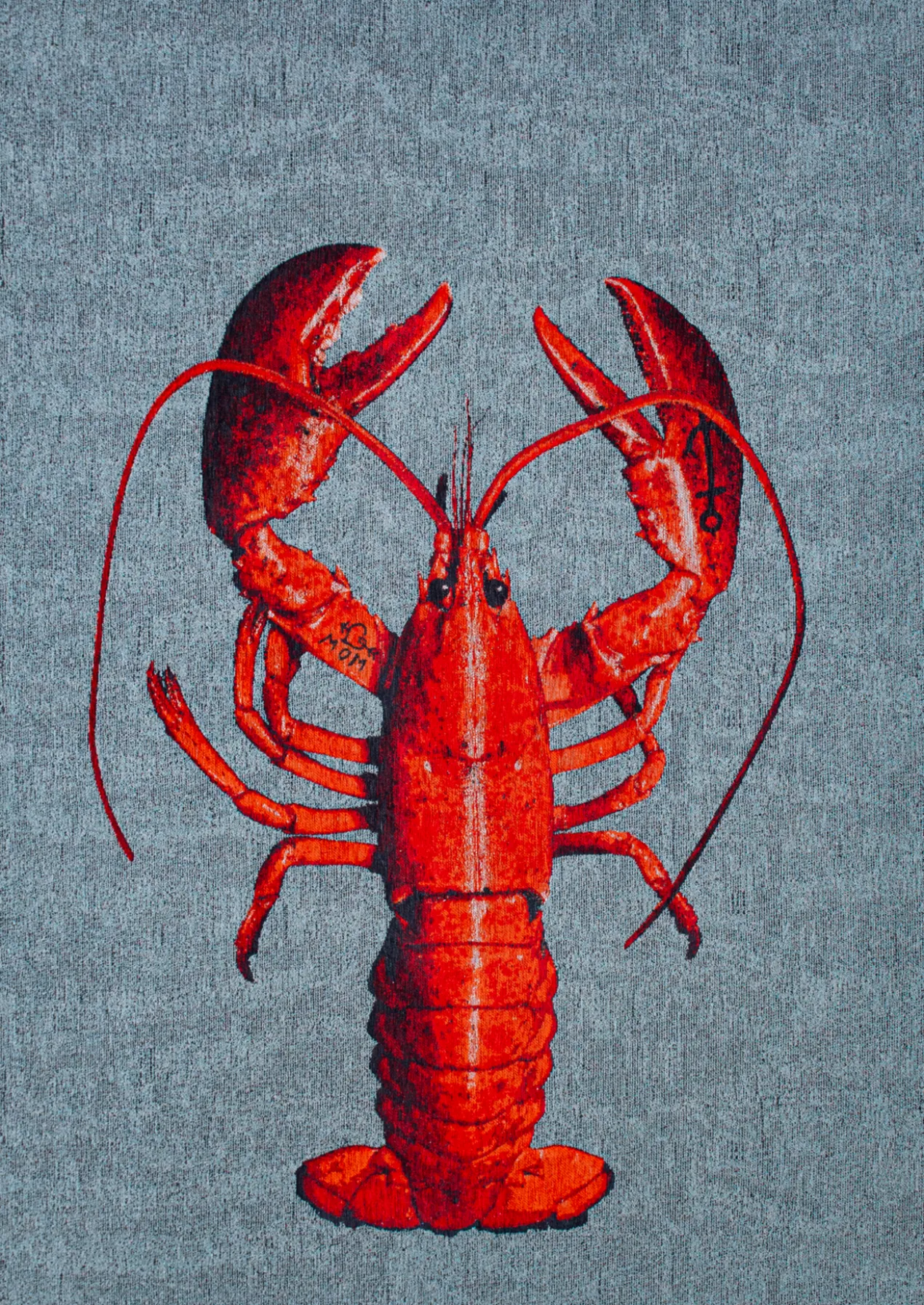 Ecorugs vloerkleed Lobster multicolor grijs 280x390 cm
