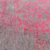 Ecorugs vloerkleed Medallion roze 240x340 cm
