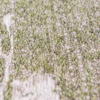 Ecorugs vloerkleed Sakura wet garden 140x200 cm