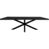Eettafel Maas zwart rechthoek maat 300