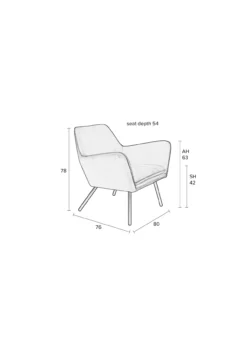 Fauteuil Bon velvet Goud