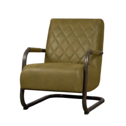 Fauteuil Civo met armleuning bull Groen - set van 4