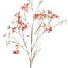 Forsythia branch orange
