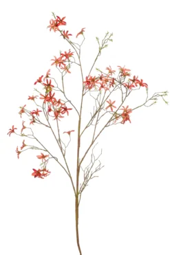Forsythia branch orange