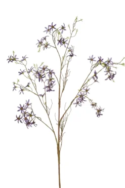 Forsythia branch purple