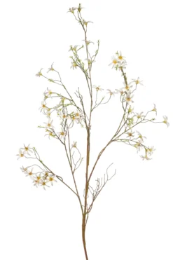 Forsythia branch white