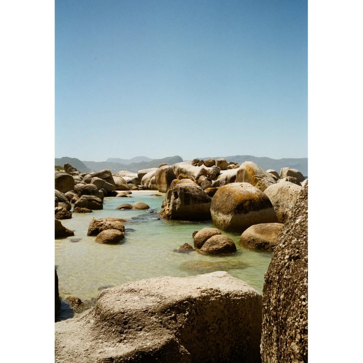 Foto op plexiglas Penguin Beach 80 x 120 cm