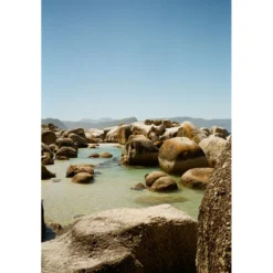 Foto op plexiglas Penguin beach 148 x 98 cm