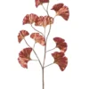 Ginko leaf spray