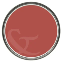 Graham & Brown matte muurverf King of Paradise - afneembaar Graham & Brown King of Paradise Matte Muurverf Afneembaar 4L